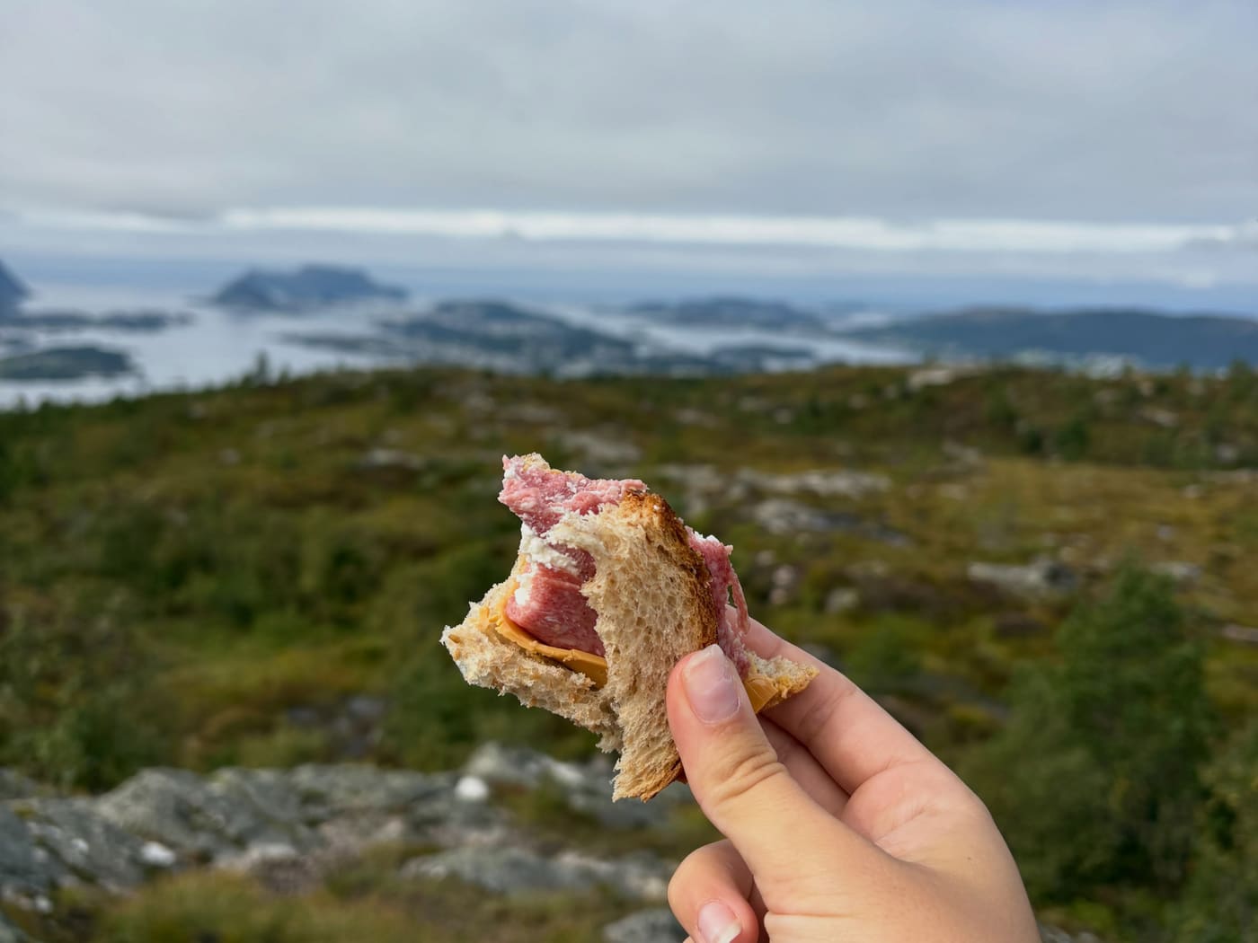 A hand holding a filled roll, with green hills and water behind